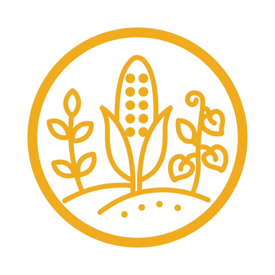 Economias Alternativas Milpa